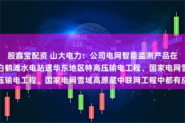 股鑫宝配资 山大电力：公司电网智能监测产品在溪洛渡等大型水电站和白鹤滩水电站送华东地区特高压输电工程、国家电网雪域高原藏中联网工程中都有应用