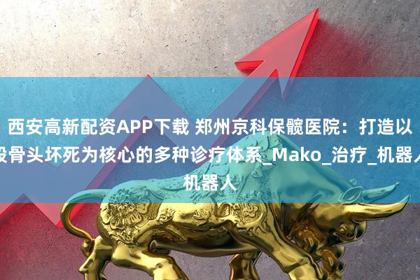 西安高新配资APP下载 郑州京科保髋医院：打造以股骨头坏死为核心的多种诊疗体系_Mako_治疗_机器人