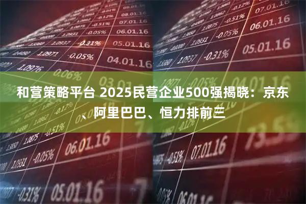 和营策略平台 2025民营企业500强揭晓：京东、阿里巴巴、恒力排前三