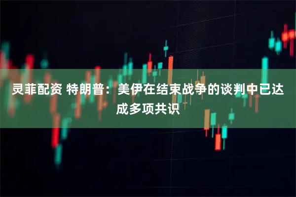 灵菲配资 特朗普：美伊在结束战争的谈判中已达成多项共识